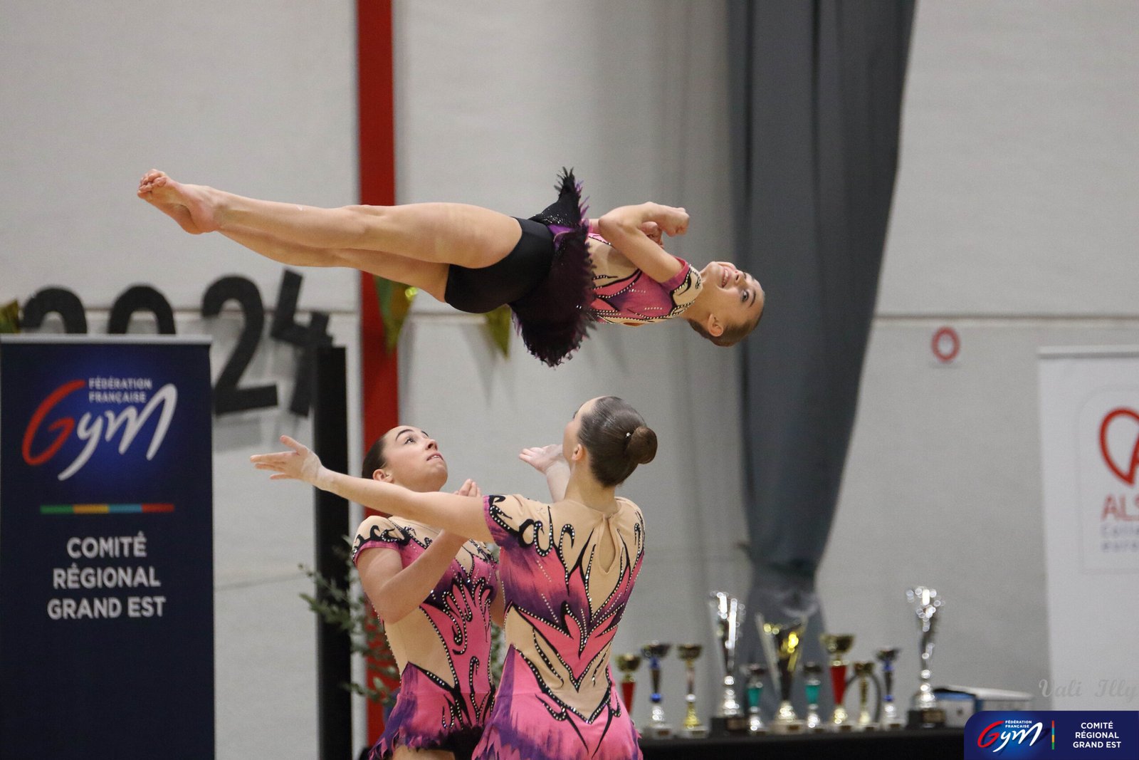 53543882752_cac366fd1e_o